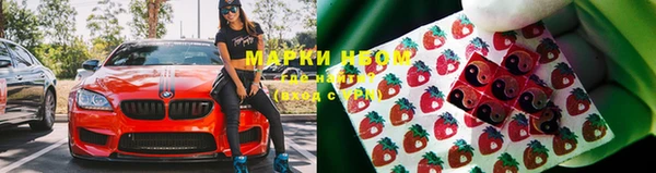 стафф Майский