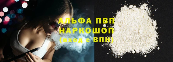 стафф Майский