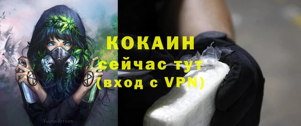 стафф Майский