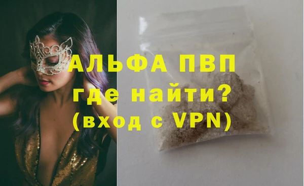 стафф Майский
