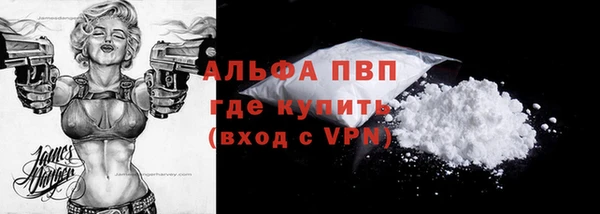 твердый Магас