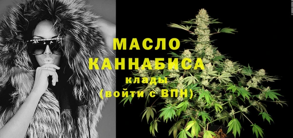 твердый Магас