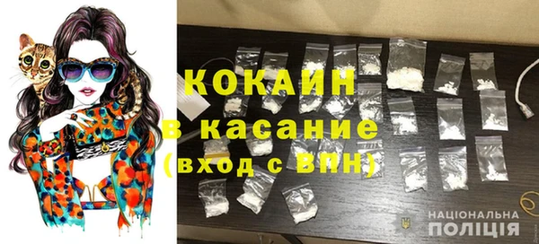 твердый Магас