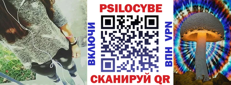 Псилоцибиновые грибы MAGIC MUSHROOMS  Купить закладки  Могоча 