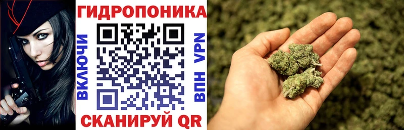 Конопля ГИДРОПОН  Купить где  Могоча 